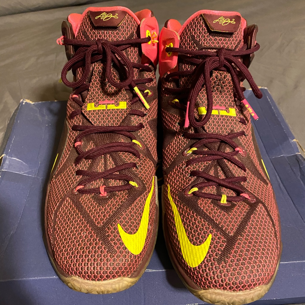 Lebron Xii